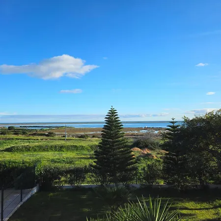 Villa Casa Oliveiras - Piscina Privada, Jardim, Perto Da *