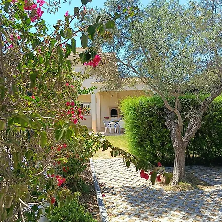 Casa Oliveiras - Piscina Privada, Jardim, Perto Da