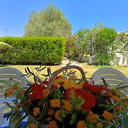 Вилла Casa Oliveiras - Piscina Privada, Jardim, Perto Da