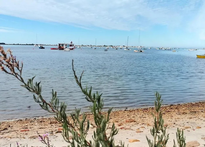 Casa Oliveiras - Piscina Privada, Jardim, Perto Da