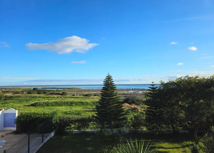 Βίλα Casa Oliveiras - Piscina Privada, Jardim, Perto Da *