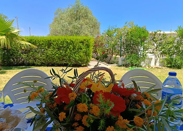 Villa Casa Oliveiras - Piscina Privada, Jardim, Perto Da