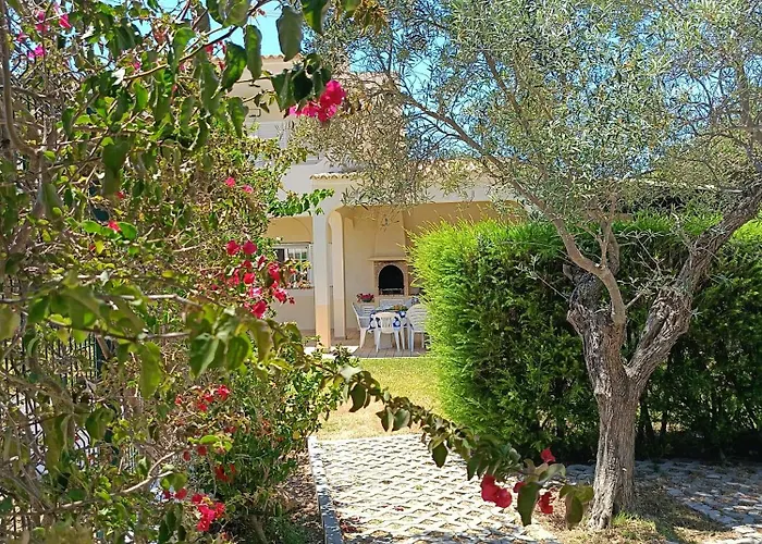 Casa Oliveiras - Piscina Privada, Jardim, Perto Da