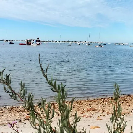 Casa Oliveiras - Piscina Privada, Jardim, Perto Da