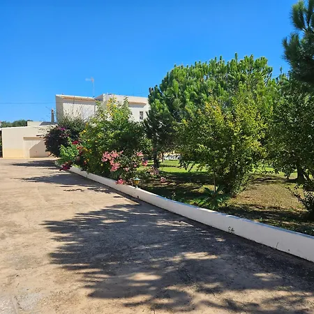 Casa Oliveiras - Piscina Privada, Jardim, Perto Da Villa